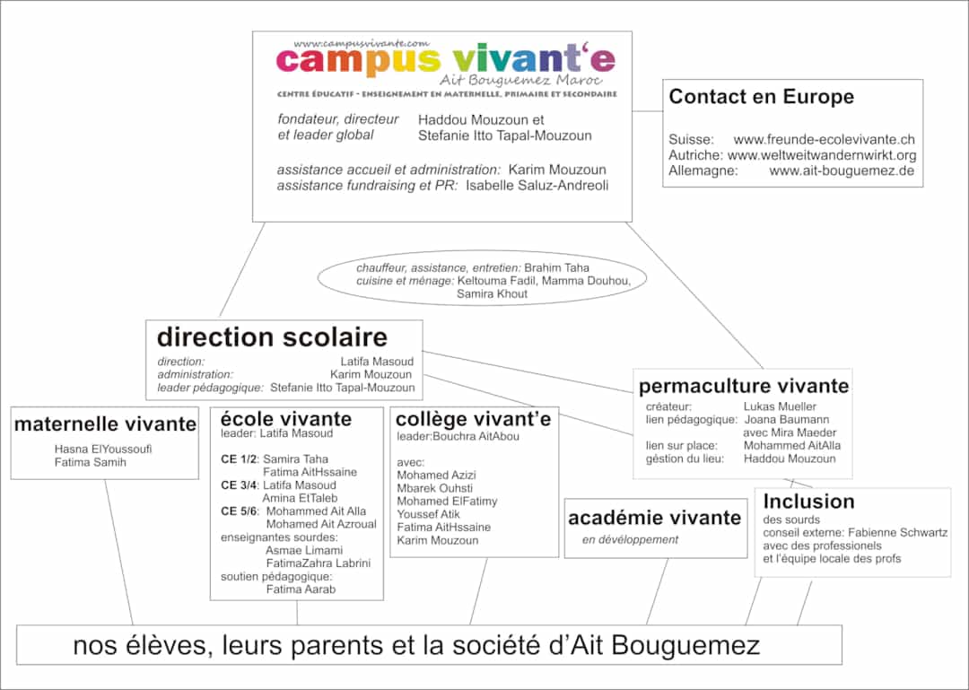 Organigramm 2020
